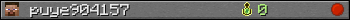 puye904157 userbar 350x20
