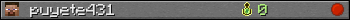 puyete431 userbar 350x20