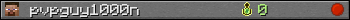 pvpguy1000n userbar 350x20