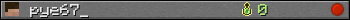 pye67_ userbar 350x20