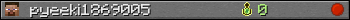 pyeeki1869005 userbar 350x20