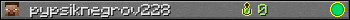 pypsiknegrov228 userbar 350x20