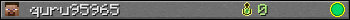 quru95965 userbar 350x20