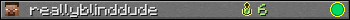 reallyblinddude userbar 350x20