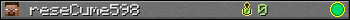 reseCume598 userbar 350x20