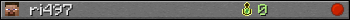 ri497 userbar 350x20
