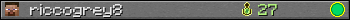 Benutzerleisten 350x20 für riccogrey8