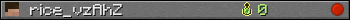 rice_vzAhZ userbar 350x20