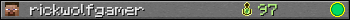 rickwolfgamer userbar 350x20