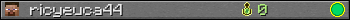 ricyeuca44 userbar 350x20