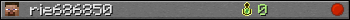 rie686850 userbar 350x20