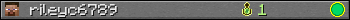 rileyc6789 userbar 350x20