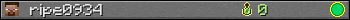 Юзербар 350x20 для ripe0934