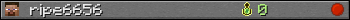 ripe6656 userbar 350x20