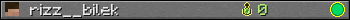 rizz__bilek userbar 350x20