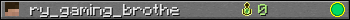 ry_gaming_brothe userbar 350x20