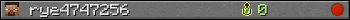 rye4747256 userbar 350x20