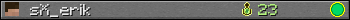 sX_erik userbar 350x20