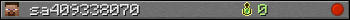 sa409338070 userbar 350x20