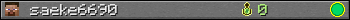 saeke6690 userbar 350x20