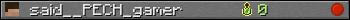 said__PECH_gamer userbar 350x20