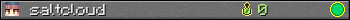 saltcloud userbar 350x20