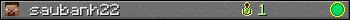 saubanh22 userbar 350x20