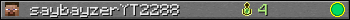 saybayzerYT2288 userbar 350x20