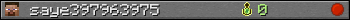 saye397963975 userbar 350x20