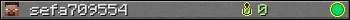 sefa709554 userbar 350x20