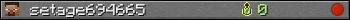 setage694665 userbar 350x20