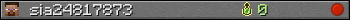 sia24817873 userbar 350x20