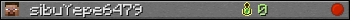 sibuYepe6479 userbar 350x20