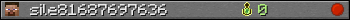 sile81687697636 userbar 350x20