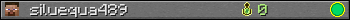 siluequa489 userbar 350x20