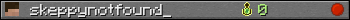 skeppynotfound_ userbar 350x20