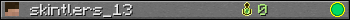 skintlers_13 userbar 350x20