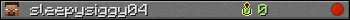 sleepysiggy04 userbar 350x20