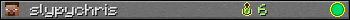 slypychris userbar 350x20