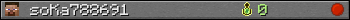 soKa788691 userbar 350x20