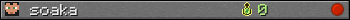 soaka userbar 350x20