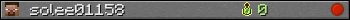 solee01158 userbar 350x20