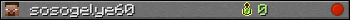 sosogelye60 userbar 350x20