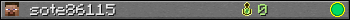 sote86115 userbar 350x20