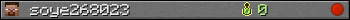 soye268023 userbar 350x20