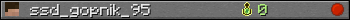 ssd_gopnik_95 userbar 350x20