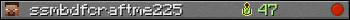 ssmbdfcraftme225 userbar 350x20