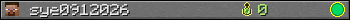 sye0912026 userbar 350x20