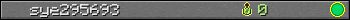 sye295693 userbar 350x20