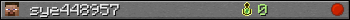 sye448957 userbar 350x20